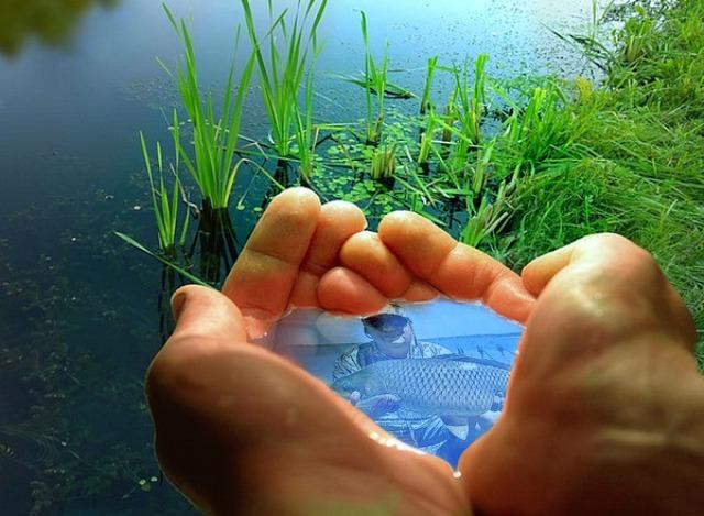 funny fishing  - yxsq6hclk.jpg